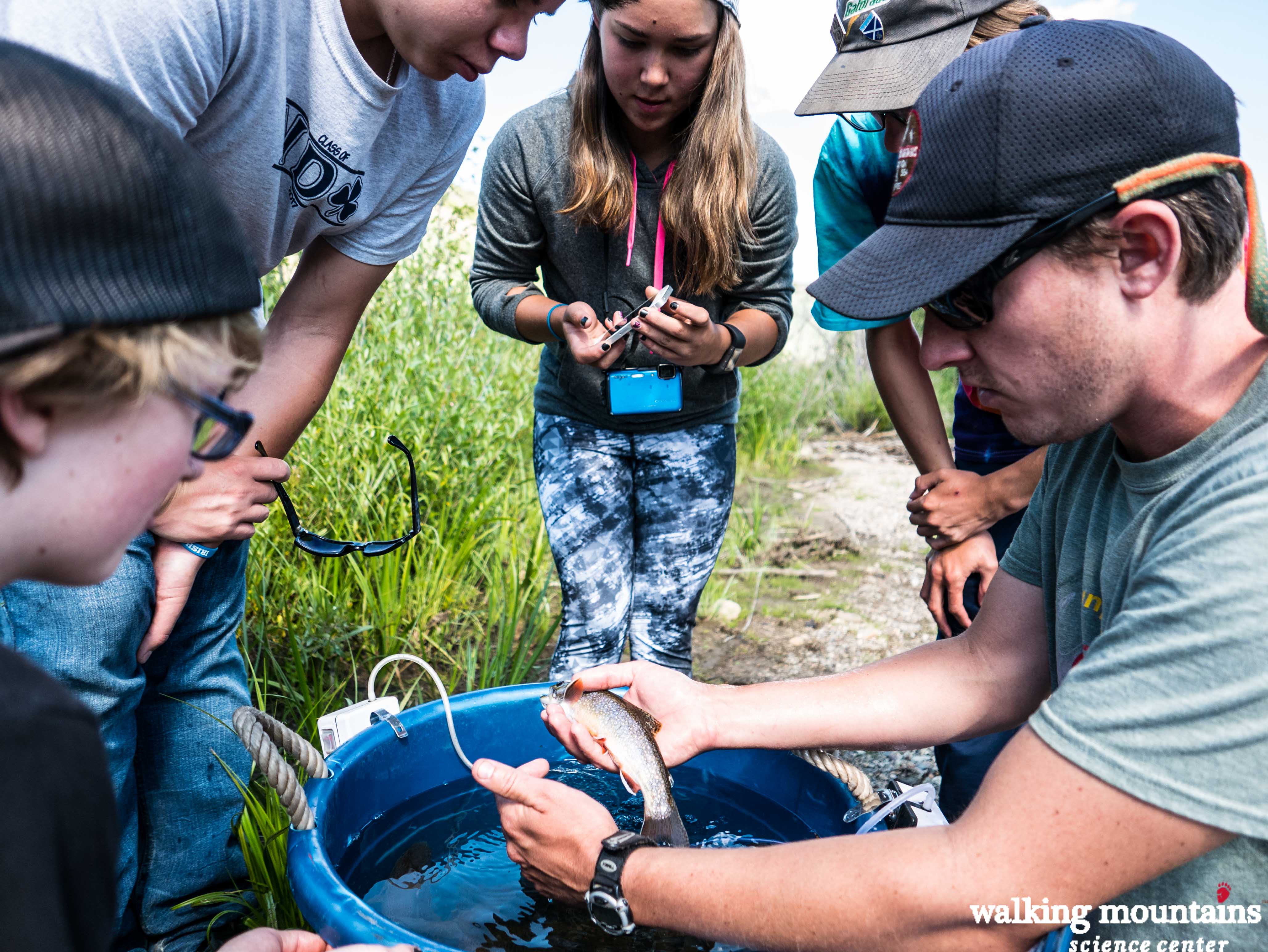 Natural Resource Summer Internship